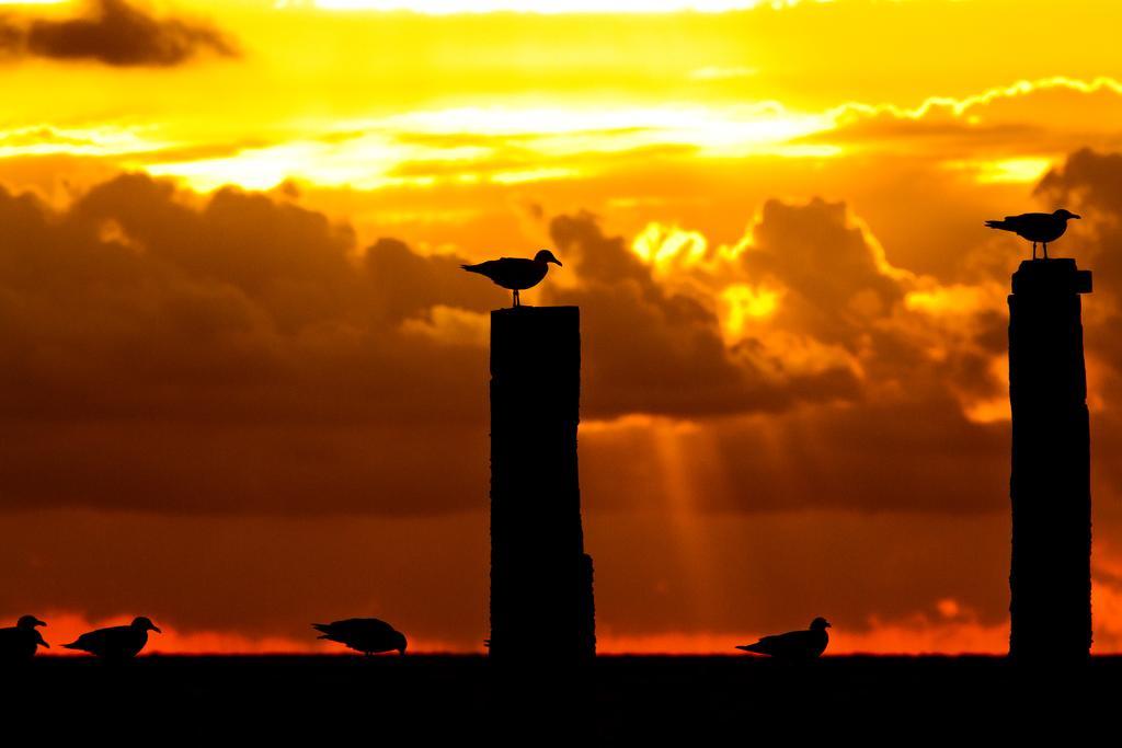 Hotel Pannenkoekhuis Vierwegen Domburg Buitenkant foto